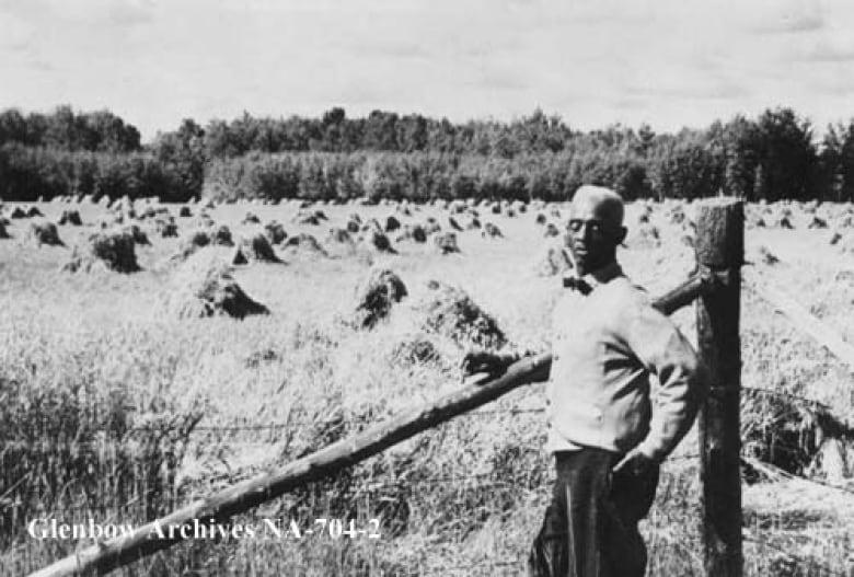 J. D. Edwards stands beside a grain field in Amber Valley.