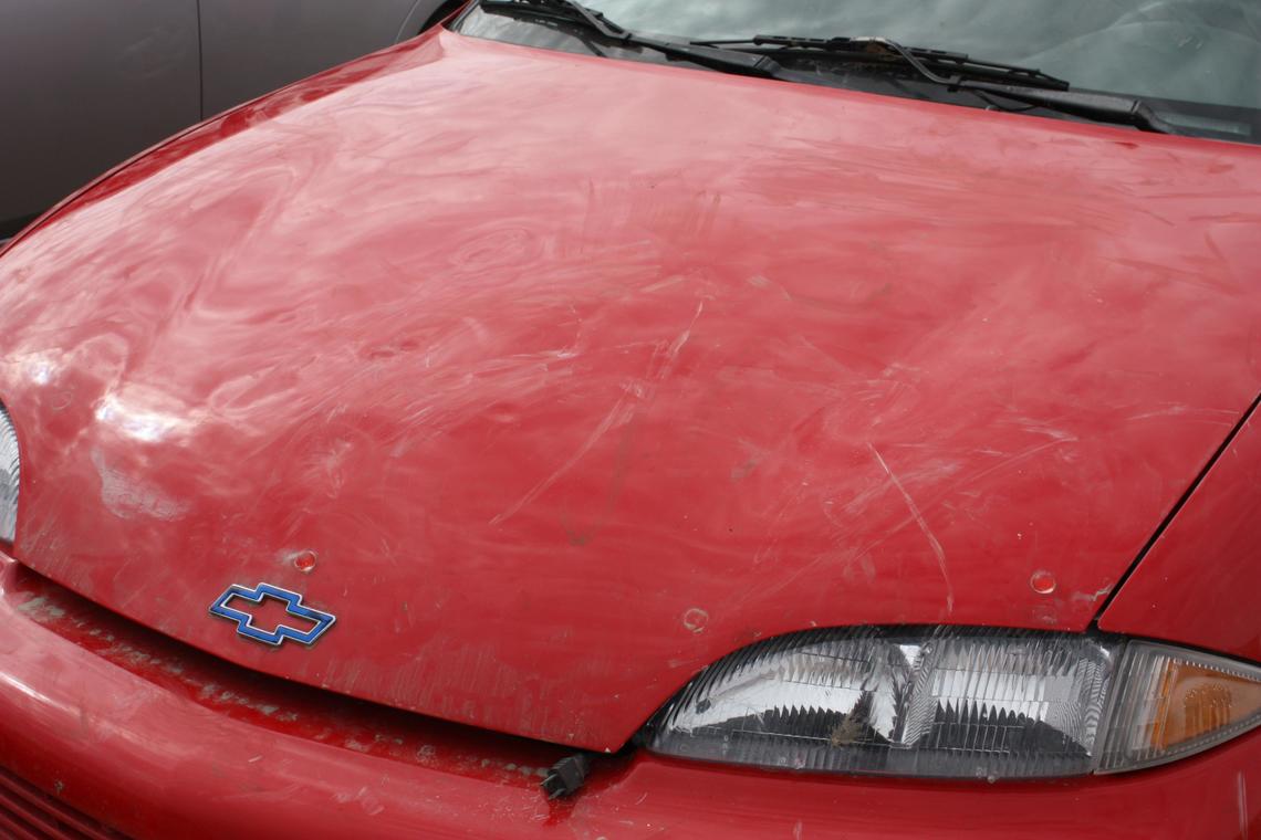 While the people were gone, the horses turned on the cars — they used their hooves to smash the hoods and pulled moulding from the car doors with their teeth.