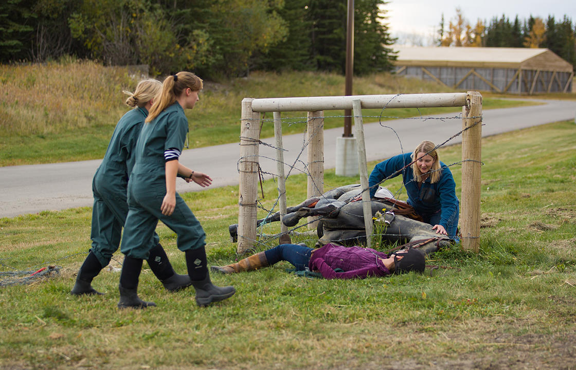 Props at the simulated accident scene include a horse model, barbed wire fencing, and realistic details such as fake blood.