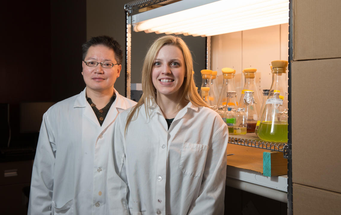 Gordon Chua recently co-authored a paper about using algae to detoxify tailings ponds in the Alberta oil sands. Lab Technician Lindsay Clothier was a key member of the research team.