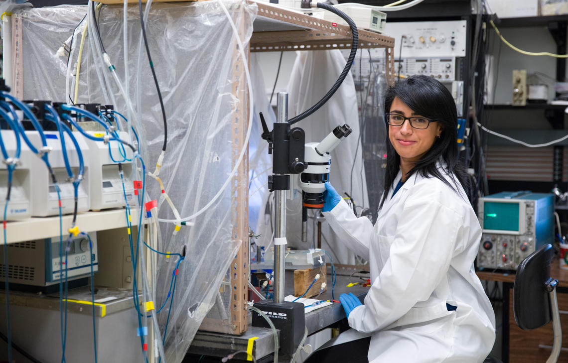 Nicole Orsi Barioni, PhD student, oversees the heart-lung bypass station. This apparatus allows scientists in real time to monitor the effect of carotid body activation on the brain as if stimulated during  an allergen-induced asthma attack.