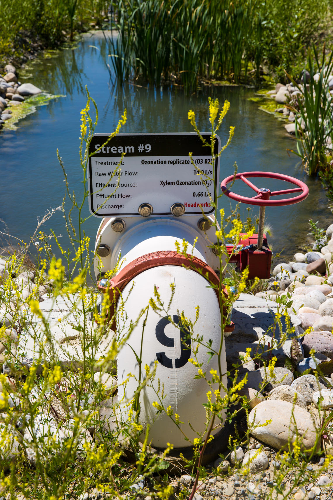 At ACWA, UCalgary researchers test water quality at various stage of the treatment process. 