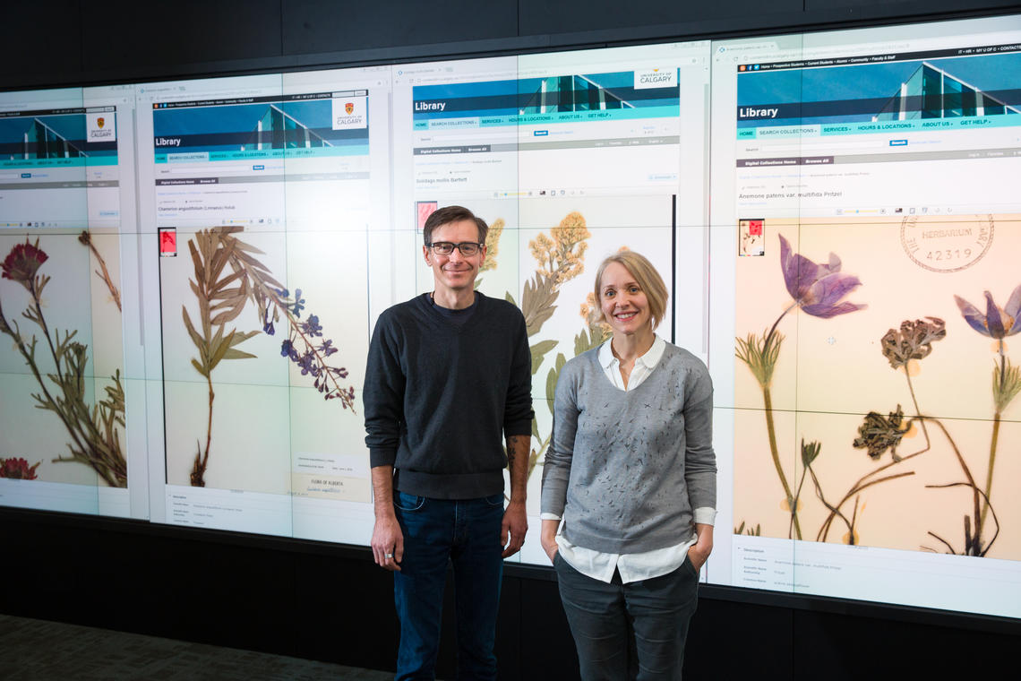 Herbarium director Jana Vamosi, right, with digital special projects associate Rob Alexander, who oversaw the creation of the new online Flora of Alberta collection. Photo by Riley Brandt, University of Calgary