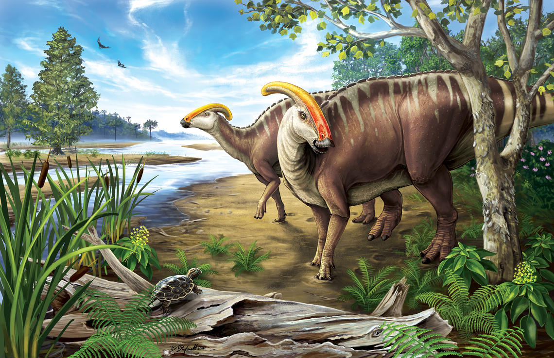 Parasaurolophus in the Kaiparowits, by Danielle Dufault, 2016 