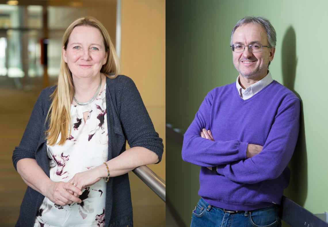 Researchers Pere Santamaria, right, and Kathy McCoy from the University of Calgary’s Cumming School of Medicine study how to harness the power of the gut microbiome to help those with inflammatory bowel disease and other autoimmune disorders. 