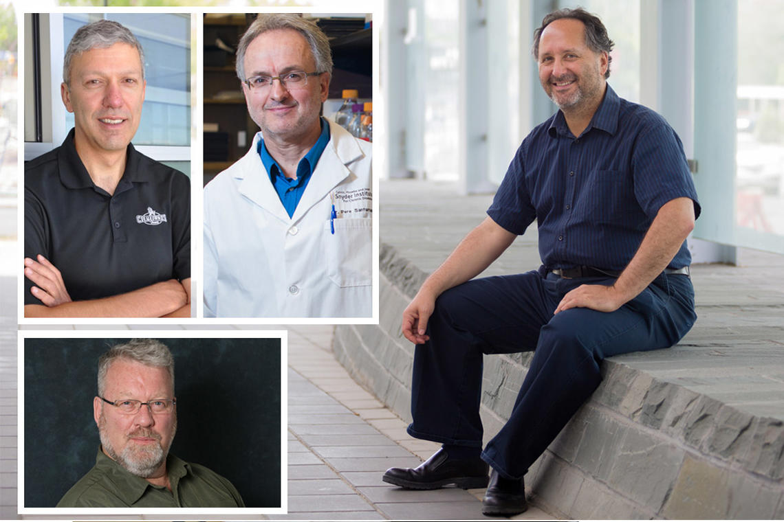 Four University of Calgary scholars who will be inducted into the Royal Society of Canada 2017 as new Fellows are, clockwise from top left, William Ghali, Pere Santamaria, Barry Sanders, and John Ferris.