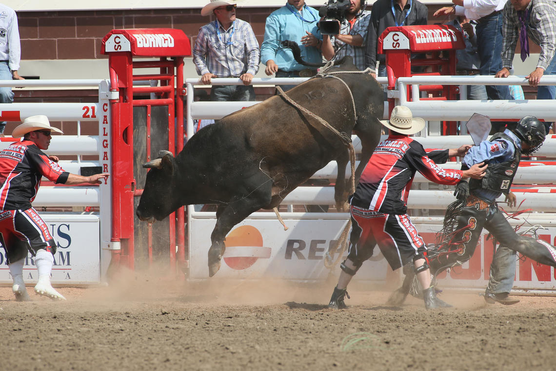 Handlers help a rider stay clear of a leaping bull in the infield. 