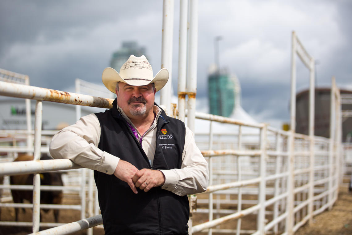 Ed Pajor has been conducting research at the Calgary Stampede for the past seven years.