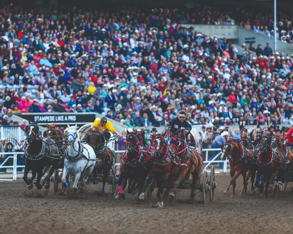 Calgary Stampede Offers Ucalgary Special Rate For Tickets News University Of Calgary