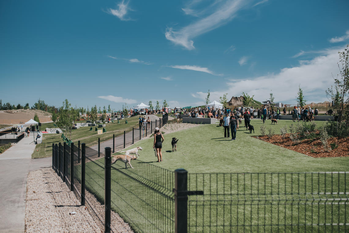 Your dog can enjoy one of the gated off-leash dog areas. 