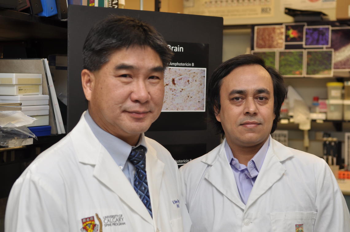 V. Wee Yong, PhD, and research associate Susobhan Sarkar, PhD, identified a mechanism implicated in brain cancer and a drug that decreases brain tumour growth. 