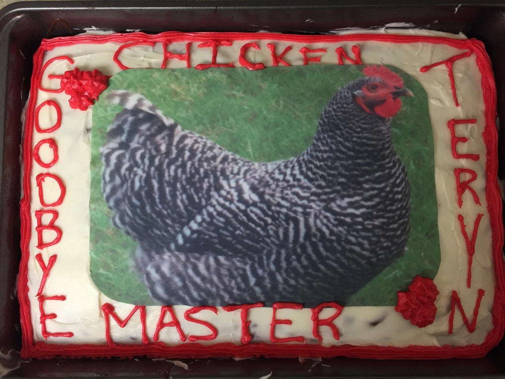 Staff at the Edson Veterinary Clinic presented "the Chicken Master" with a special cake — featuring her favourite chicken, the Barred Plymouth Rock — at the end of her month-long rotation.