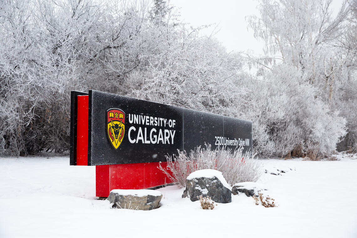 UCalgary saw a positive trend in the annual ranking.