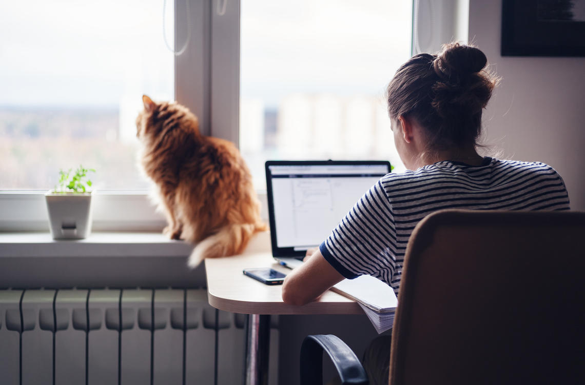 Student studies at desk while her cat gazes out the window