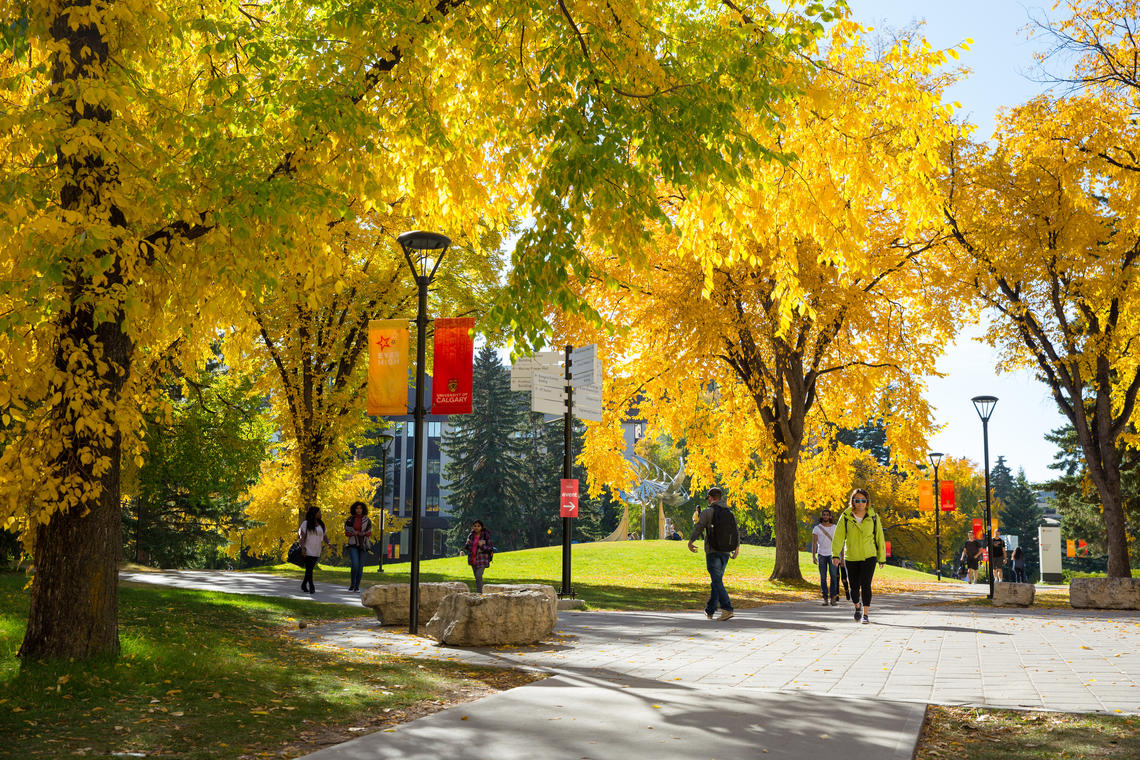 Fall on campus