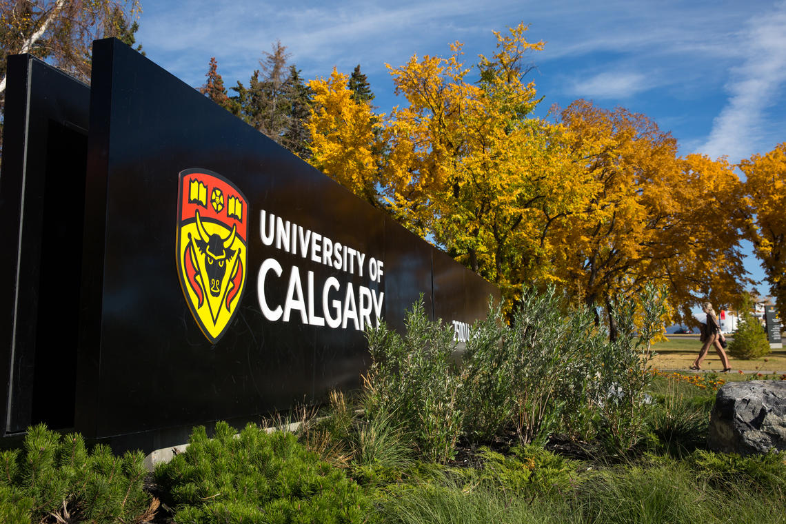 UCalgary moves up 9 spots in world QS ranking to 235 | News | University of  Calgary