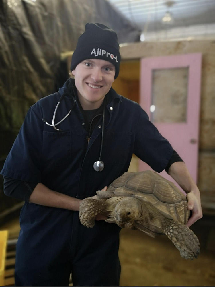 Shane Bosomworth helping a turtle in need of a checkup. 