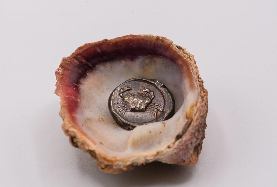 Ancient Greek silver coin with a crab in a shell. From the Nickle Numismatic Collection.