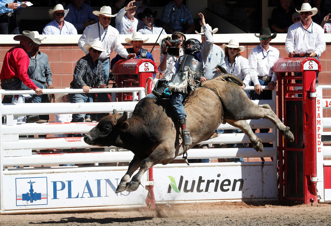 bucking bulls