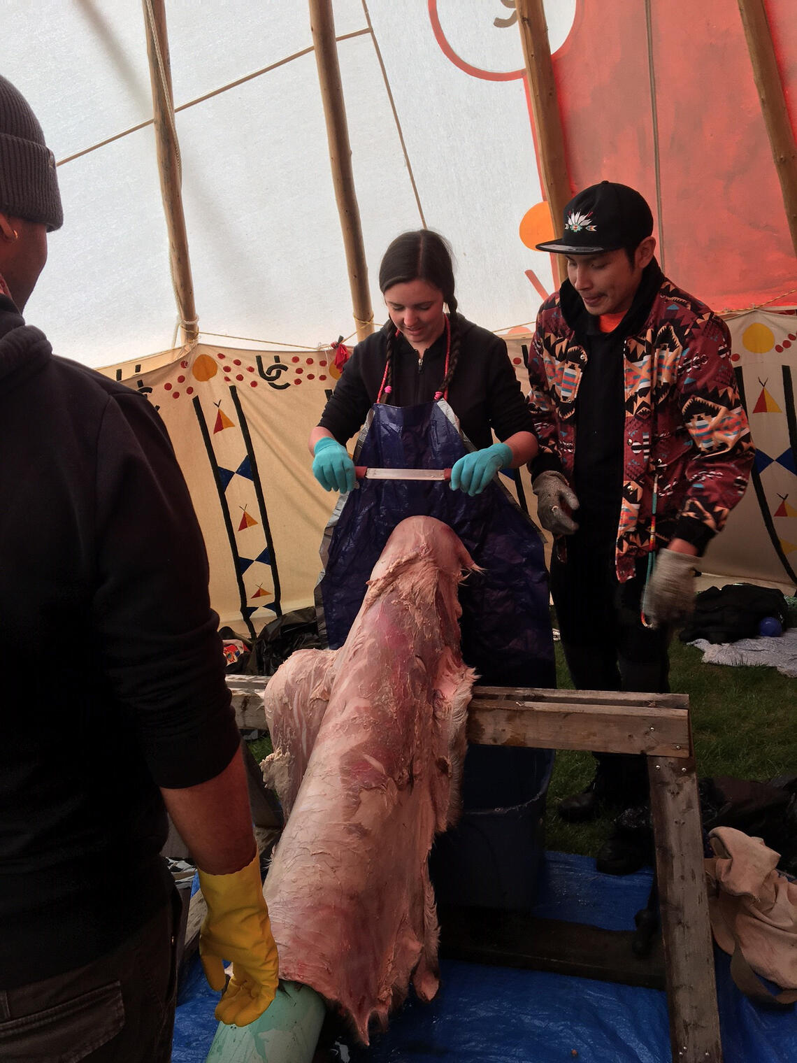 Students are shown how to prepare a deer hide using traditional teachings and practices