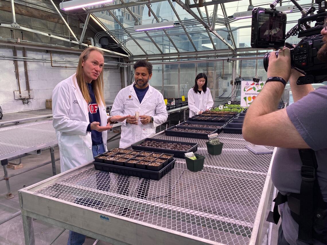 Three people in lab coats work with plants in a greenhouse and take a camera