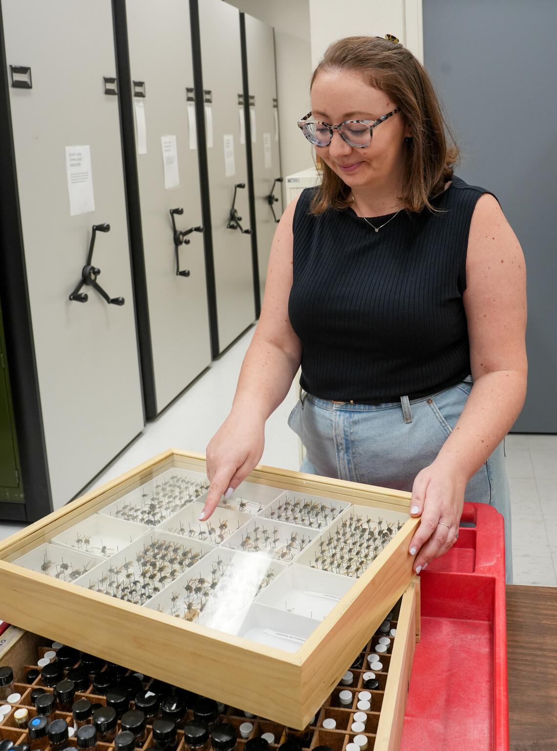 A woman looking at wasps