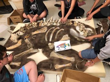 Graduate students with the Department of Anthropology and Archaeology hosted a dig where campers uncovered a buffalo skeleton. "Some of the students were really interested in the deer skeleton," says Tina Peterson, graduate student.