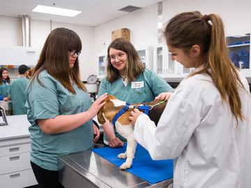 Vet Med student Alyssa Chrapko talks to Kennedy Prince (left) and Breanna Domak about performing a basic health exam on a beagle puppy