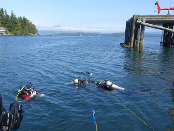 Students scuba diving in the water