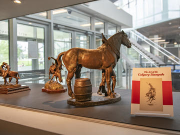Nickle Galleries display of Western bronze sculptures (photo: Dave Brown)