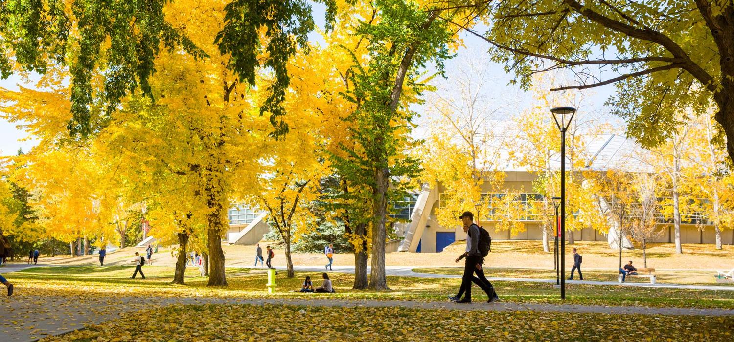 Fall means the beginning of a new academic year, but it can also mean a fresh approach to your career.
