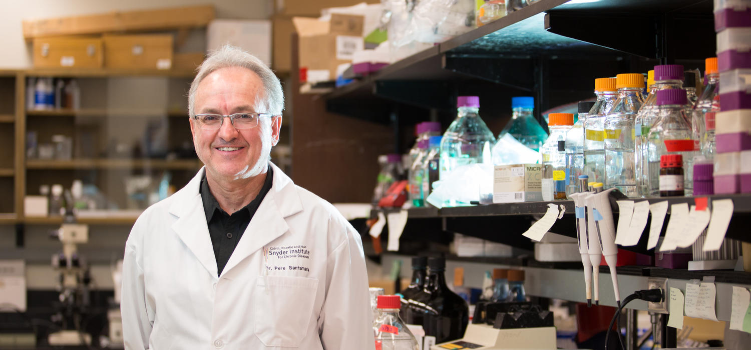 University of Calgary scientist Pere Santamaria discovered Navacims, a precision nanomedicine designed to trigger a naturally occurring regulatory mechanism within the immune system to protect against autoimmune disease. Photo by Riley Brandt, University of Calgary