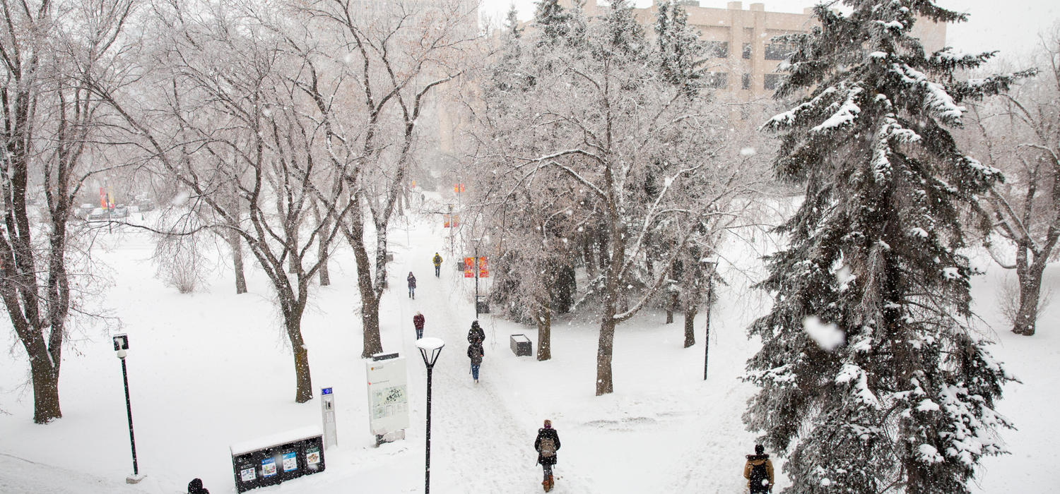 Winter on campus