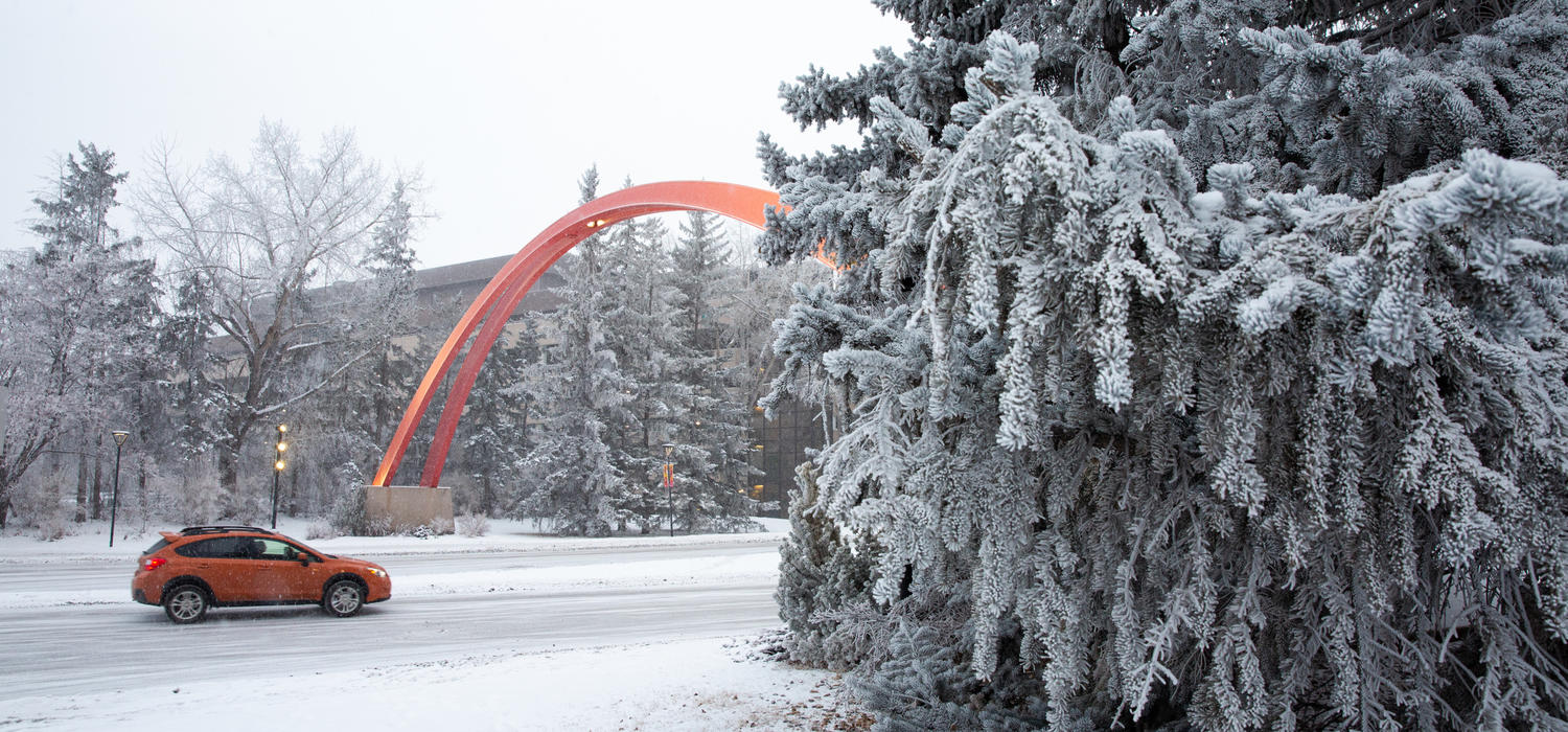 Time for all UCalgary students and staff in Europe to leave their