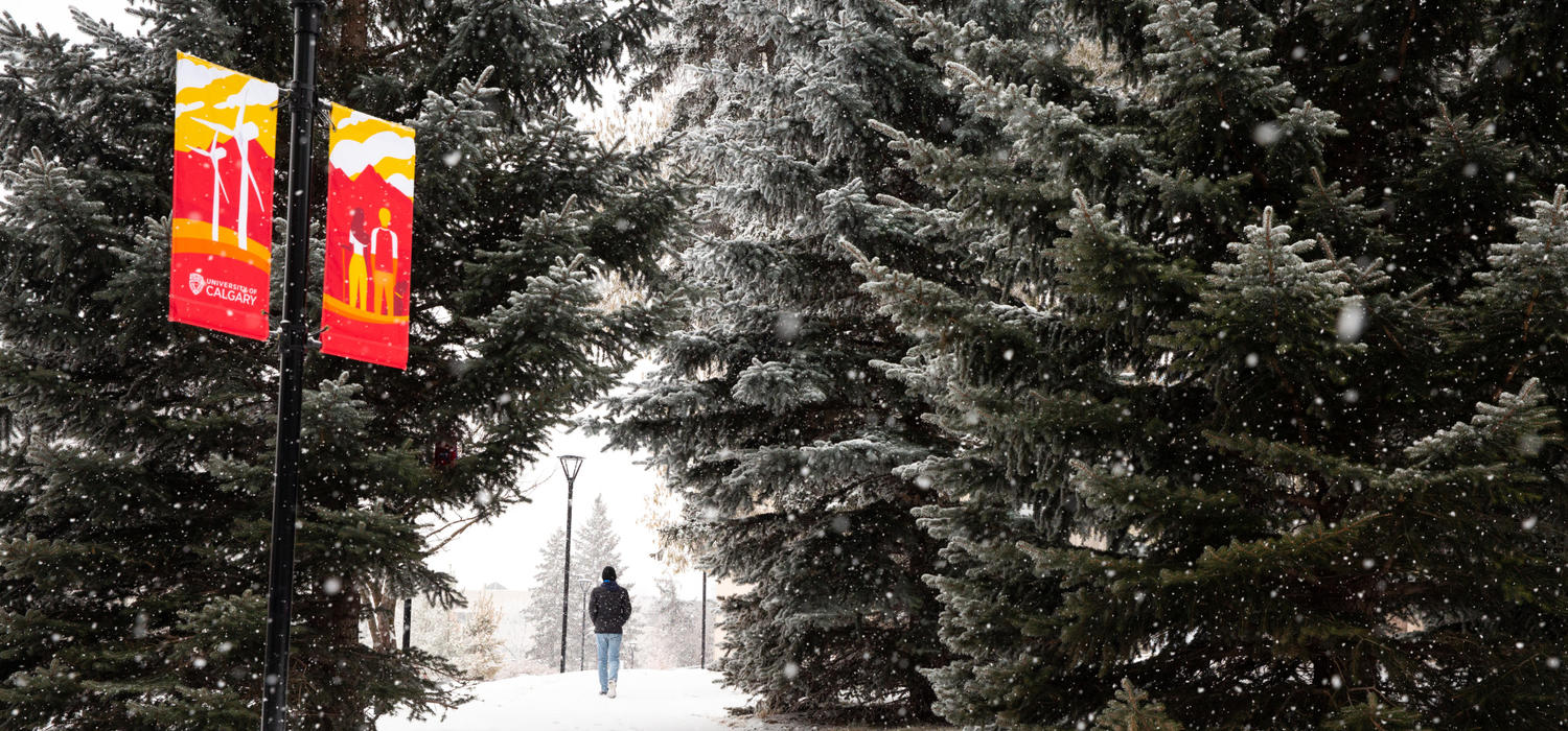 The University of Calgary campus on a snowy December day.