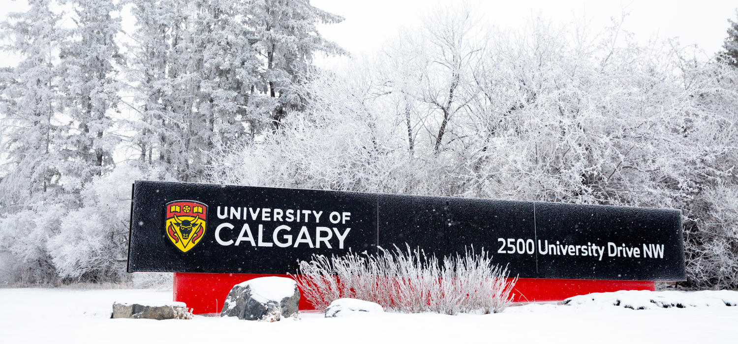 7 UCalgary faculty named Canada Research Chairs News University of