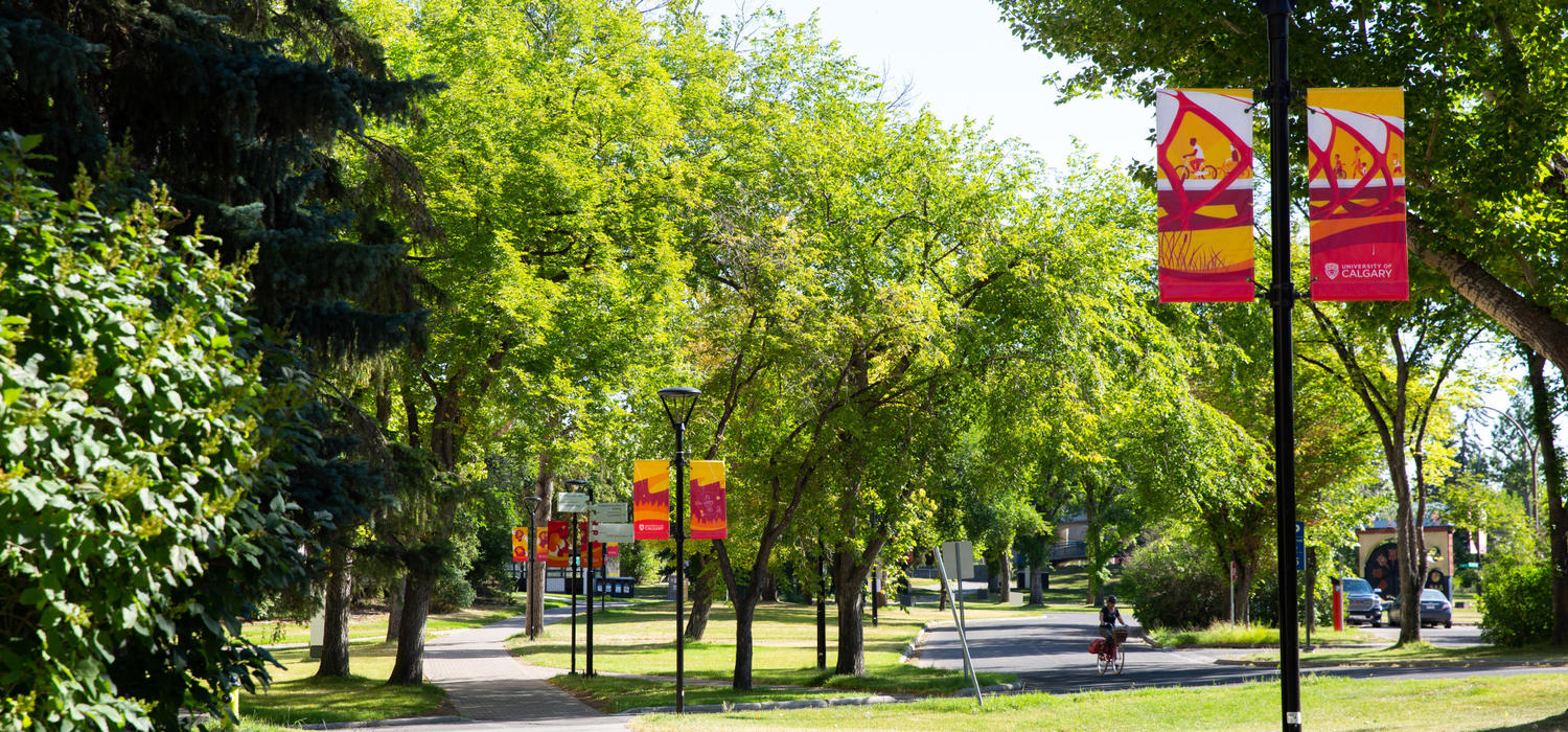 The University of Calgary campus in the summer of 2020 during the COVID-19 outbreak.
