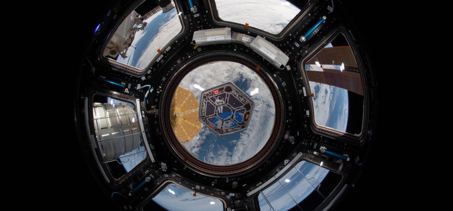 Photo of the mission patch for the TBone project. Photo was taken by Canadian Space Agency astronaut David Saint-Jacques during his mission aboard the International Space Station.