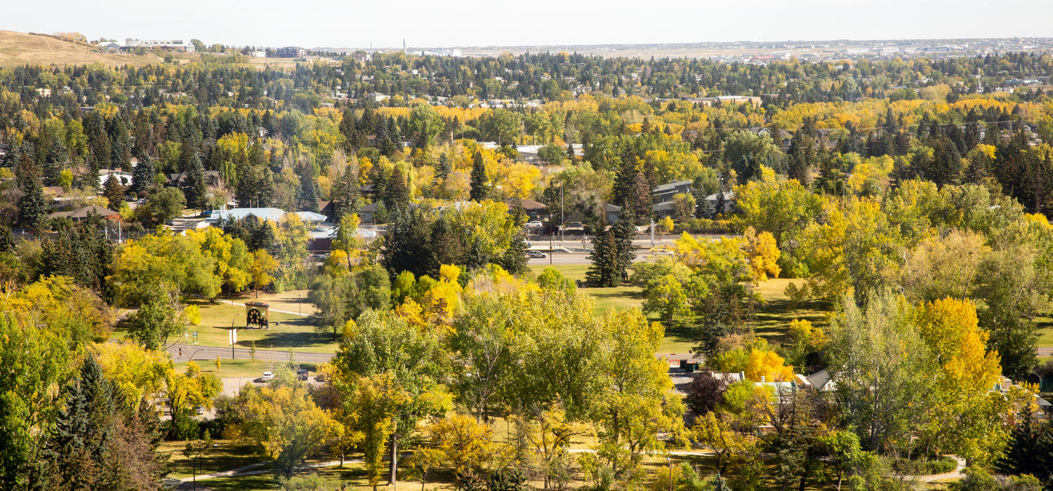 UCalgary fall campus