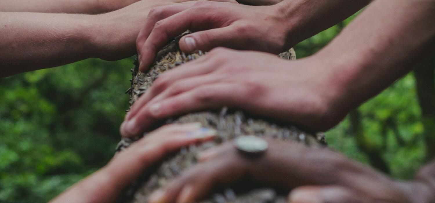 A group of people placing their hands on a tree