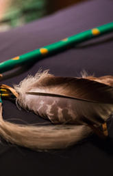 Indigenous Strategy and Law School Courses