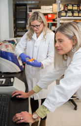 Dr. Raylene Reimer, professor and associate dean of research in the Faculty of Kinesiology at the University of Calgary, works in her lab alongside PhD student Teja Klancic. Photo by Adrian Shellard for the Faculty of Kinesiology  