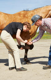 Mike Scott helps Veterinary Medicine student Brenna Sakatch and Erica Ward. 