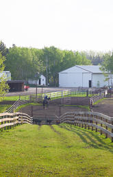 W.A.Ranches on display