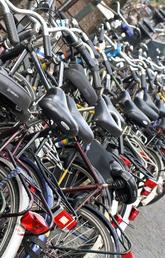 bikes on a bike rack