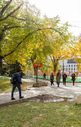 Fall on campus