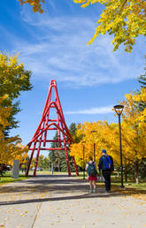 Fall on campus