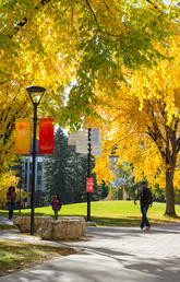 Fall on campus