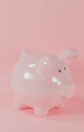A pink piggy bank on a pink background