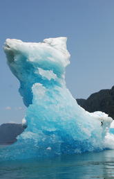 Talia Wells - Iceberg 
